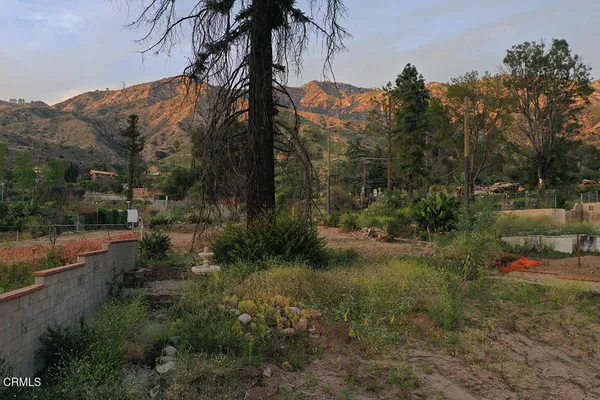 a view of outdoor space and yard