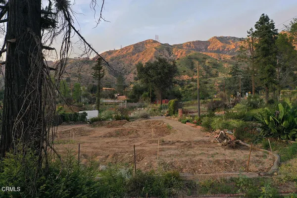 a view of backyard with green space