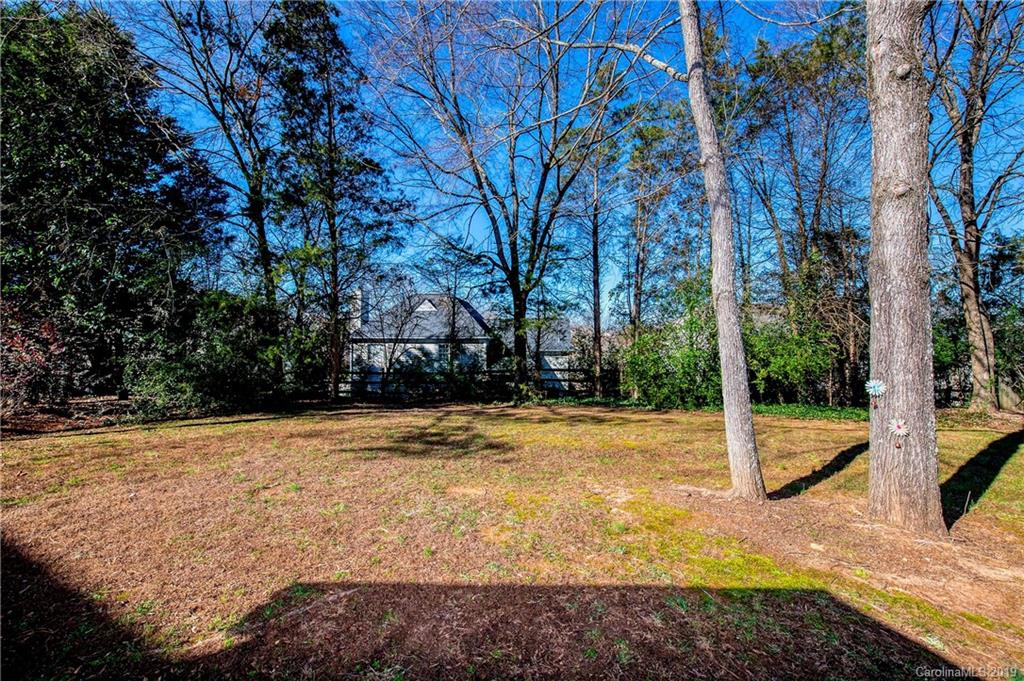 10220 Ridgemore Drive Charlotte, NC 28277 - Photo 23 of 24
