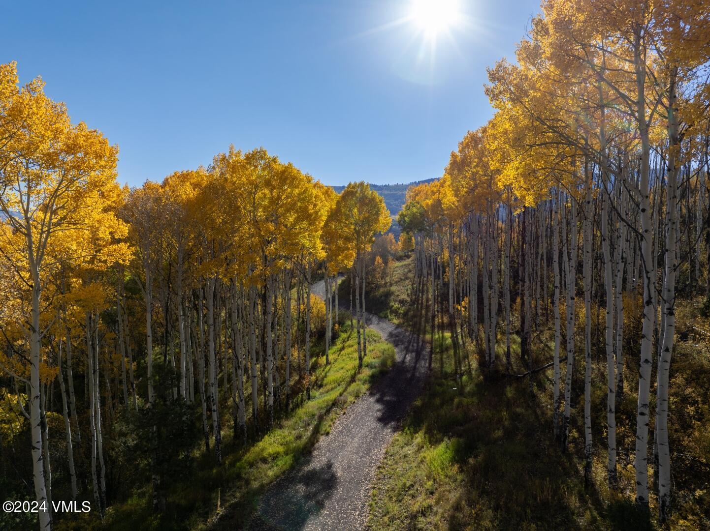 765 Saddle Horn Way Edwards, CO 81632 - Photo 7 of 11 a view of residential houses with trees