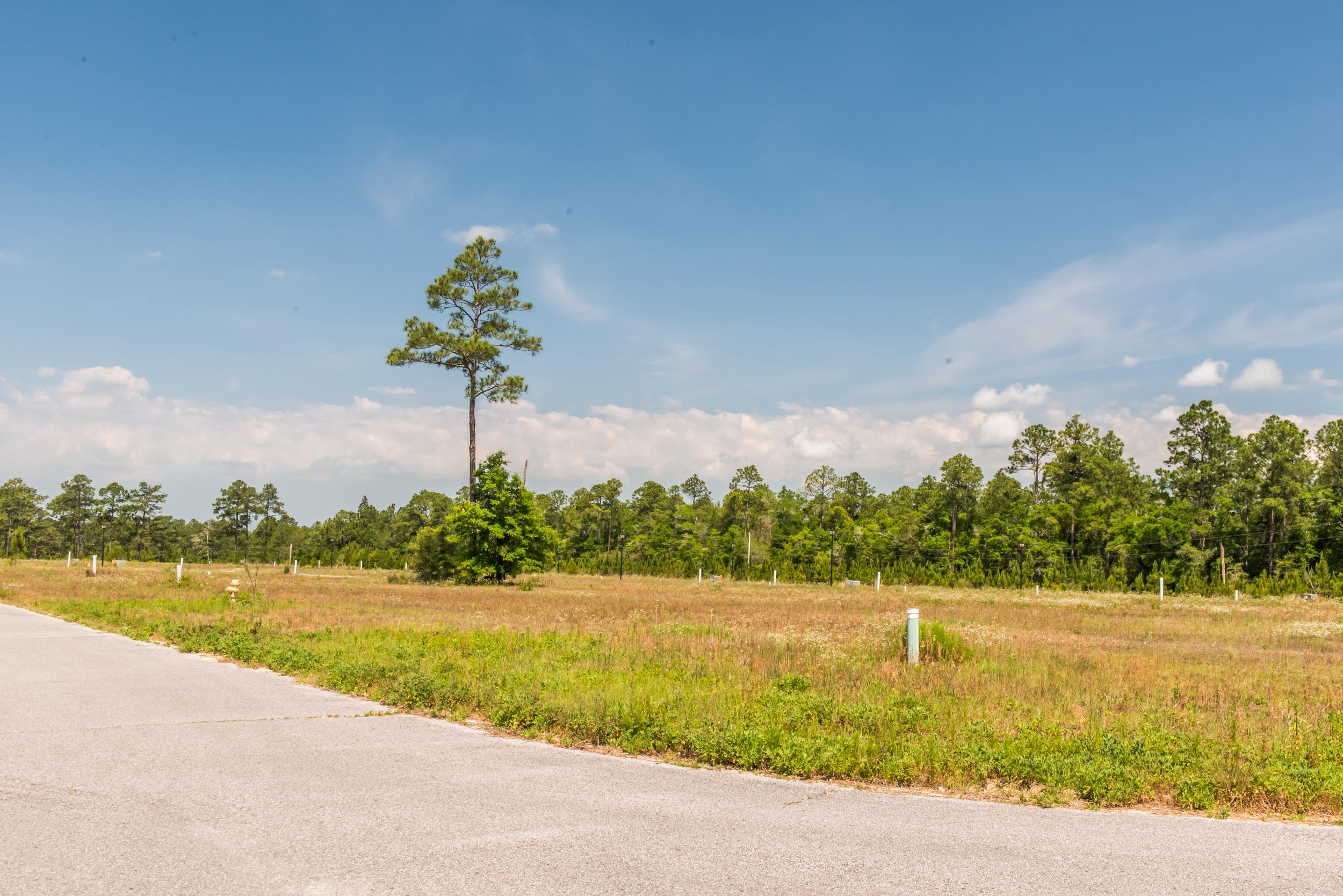 60 North Sand Palm Road, Unit 3 Freeport, FL 32439 - Photo 4 of 10 _DSC3965-HDR