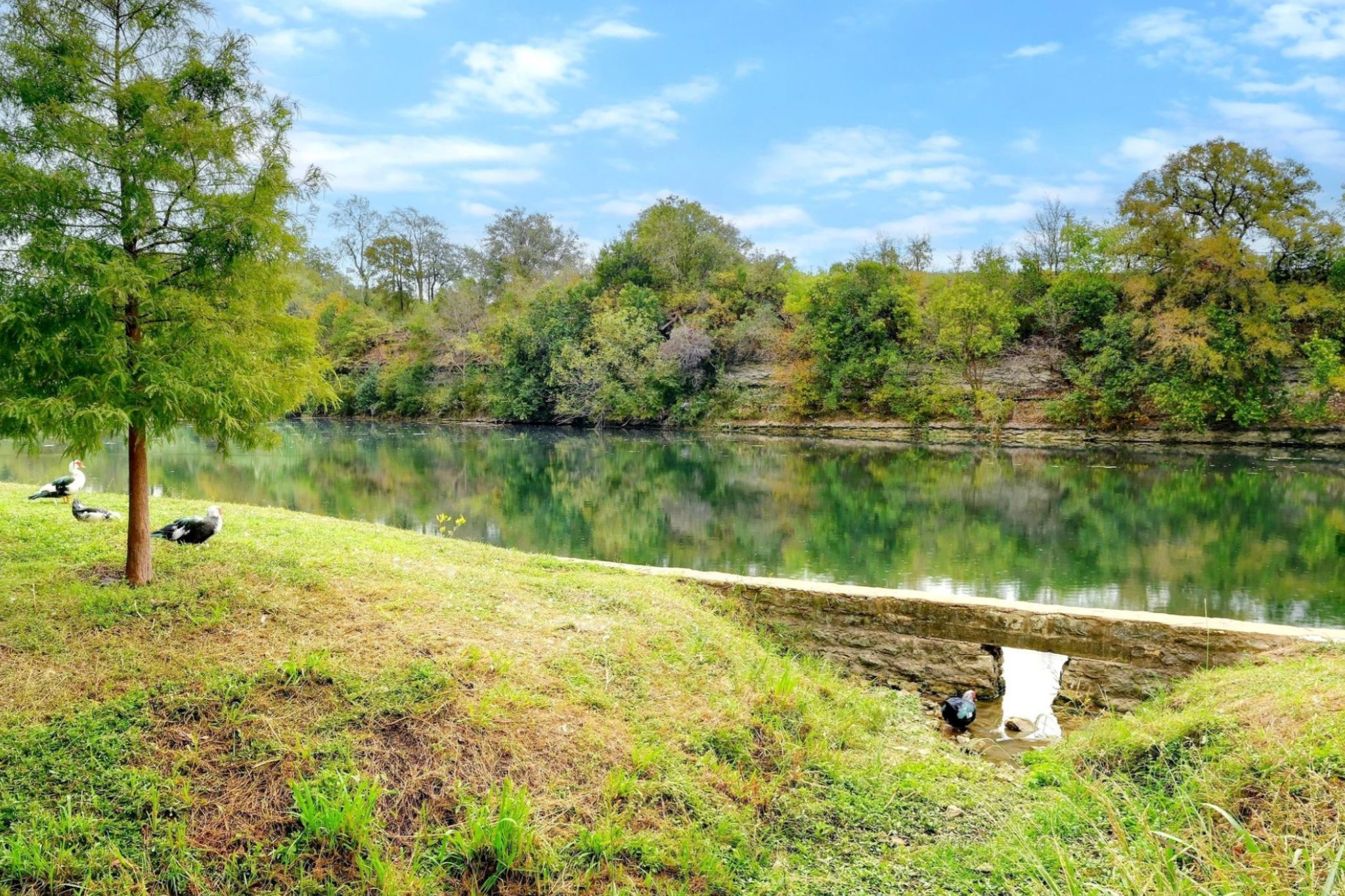 119 Stephen Lane Georgetown, TX 78626 - Photo 29 of 32 San Gabriel River