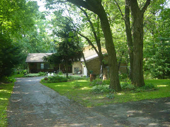 a view of a trees in a yard with large trees