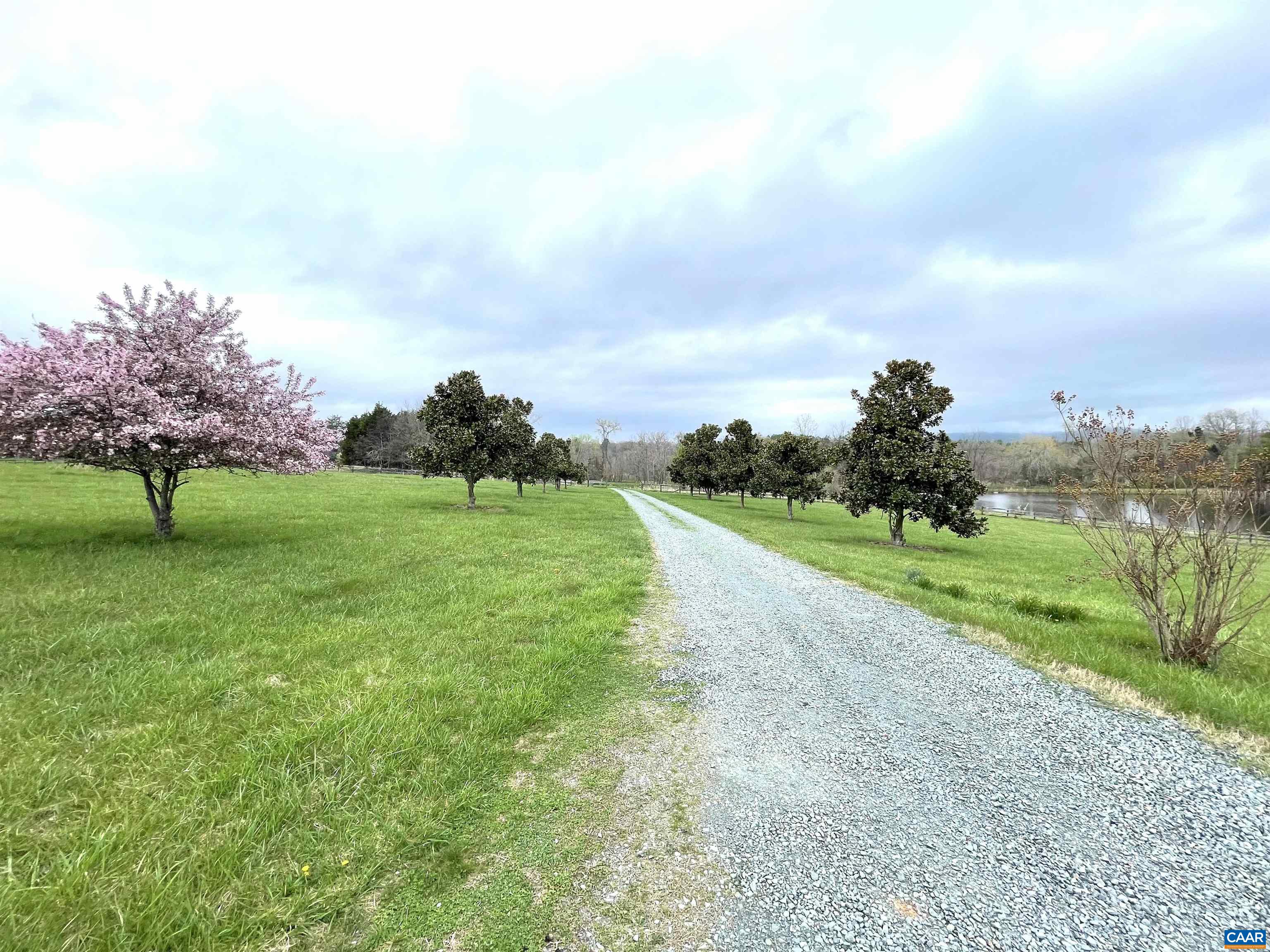 4437 Richmond Road Keswick, VA 22947 - Photo 22 of 33 Front Driveway