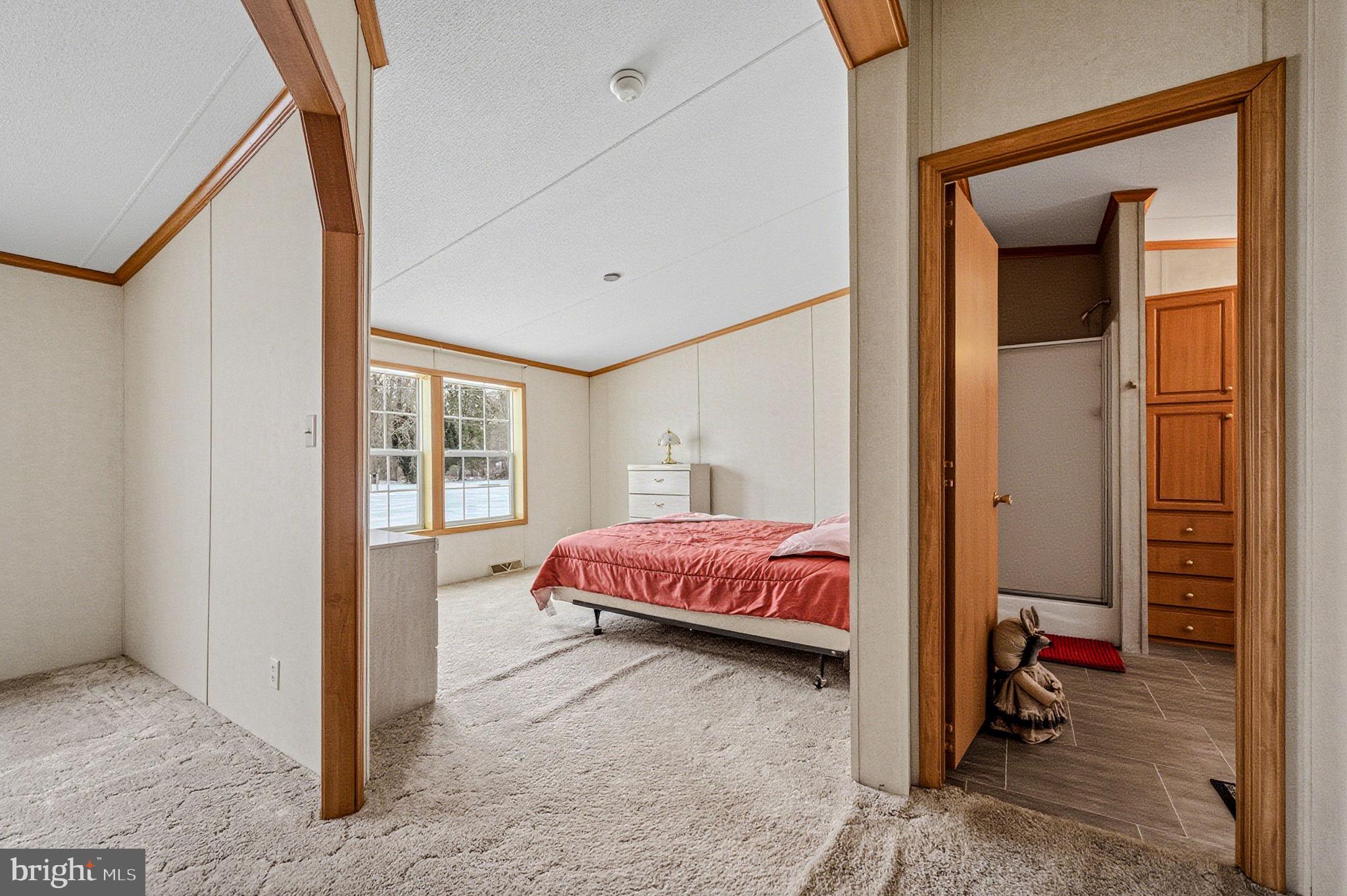 2237 Marshyhope Road Felton, DE 19943 - Photo 12 of 38 a spacious bedroom with a bed and a mirror