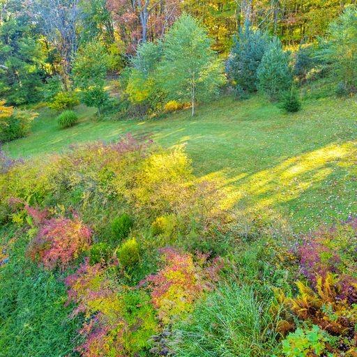 1563 Gilmar Road Apollo, PA 15613 - Photo 22 of 25 Gallery Image 22