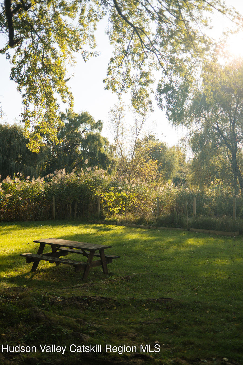 215 Moore Road Germantown, NY 12526 - Photo 27 of 36 Back Yard