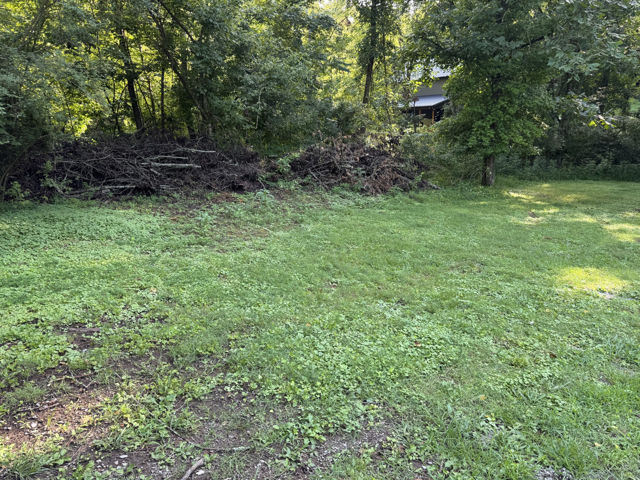 0 Holmes Creek Road Smithville, TN 37166 - Photo 2 of 6 a big yard with lots of green space and deers