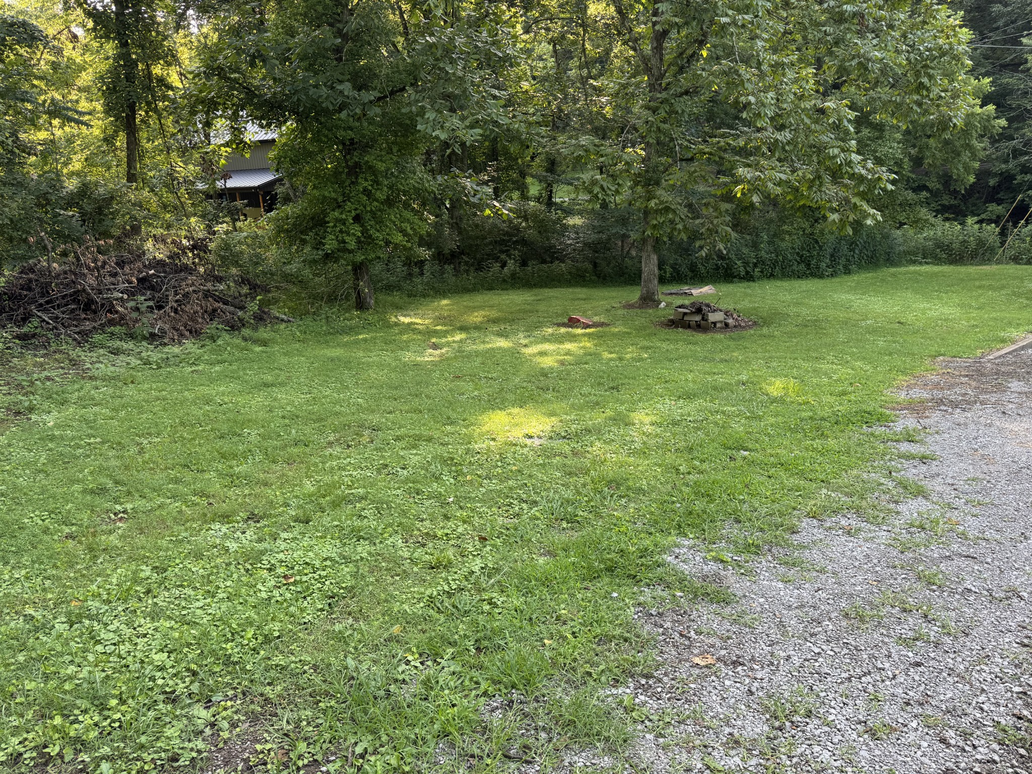 0 Holmes Creek Road Smithville, TN 37166 - Photo 3 of 6 a view of a green field with trees