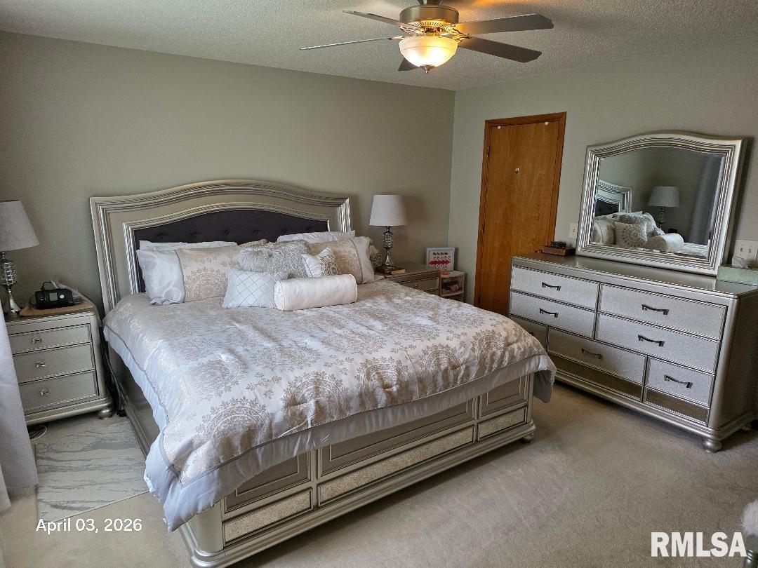3308 Rawlings Drive Springfield, IL 62704 - Photo 11 of 19