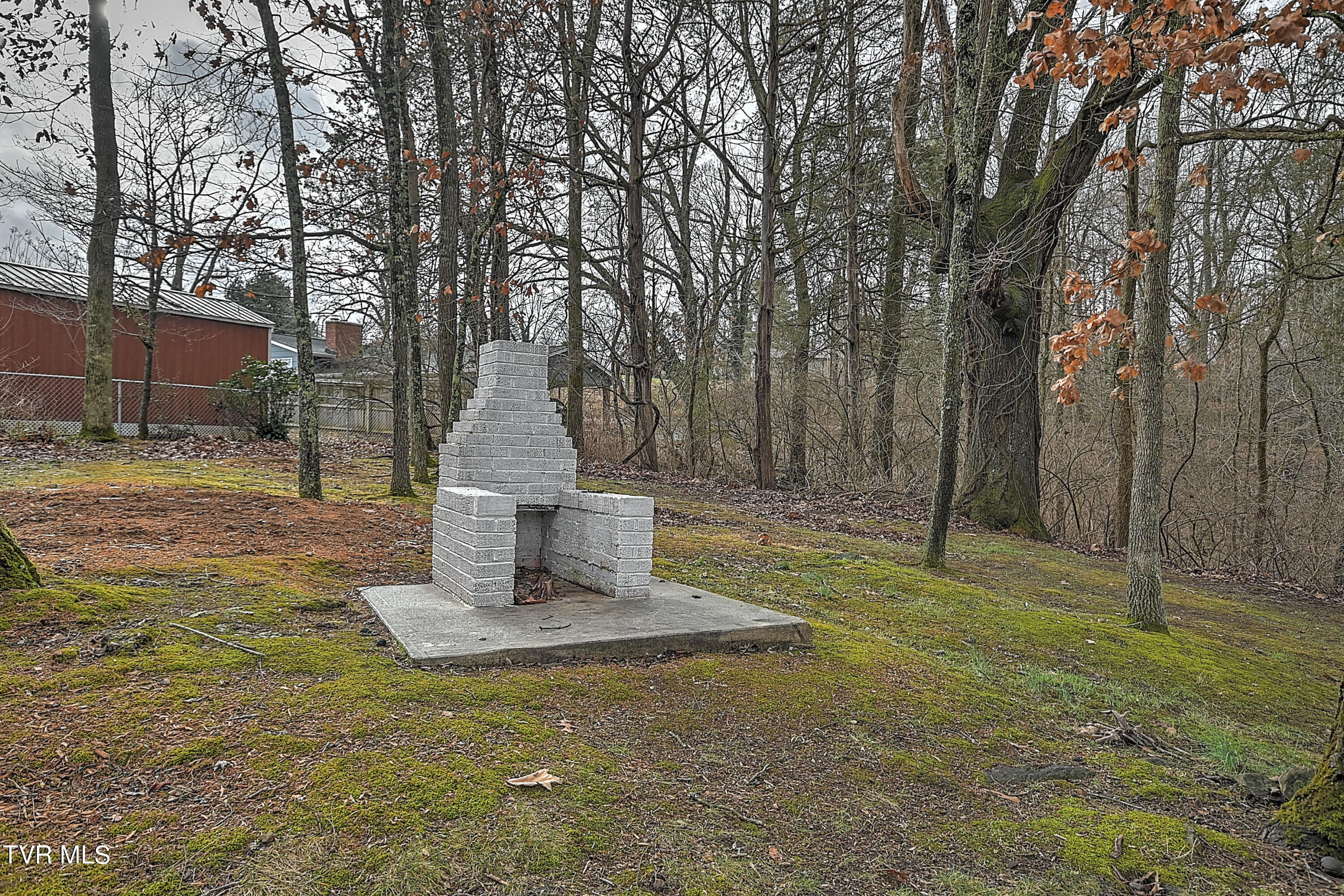 519 Rambling Road Kingsport, TN 37663 - Photo 56 of 58 519 Rambling TS-57