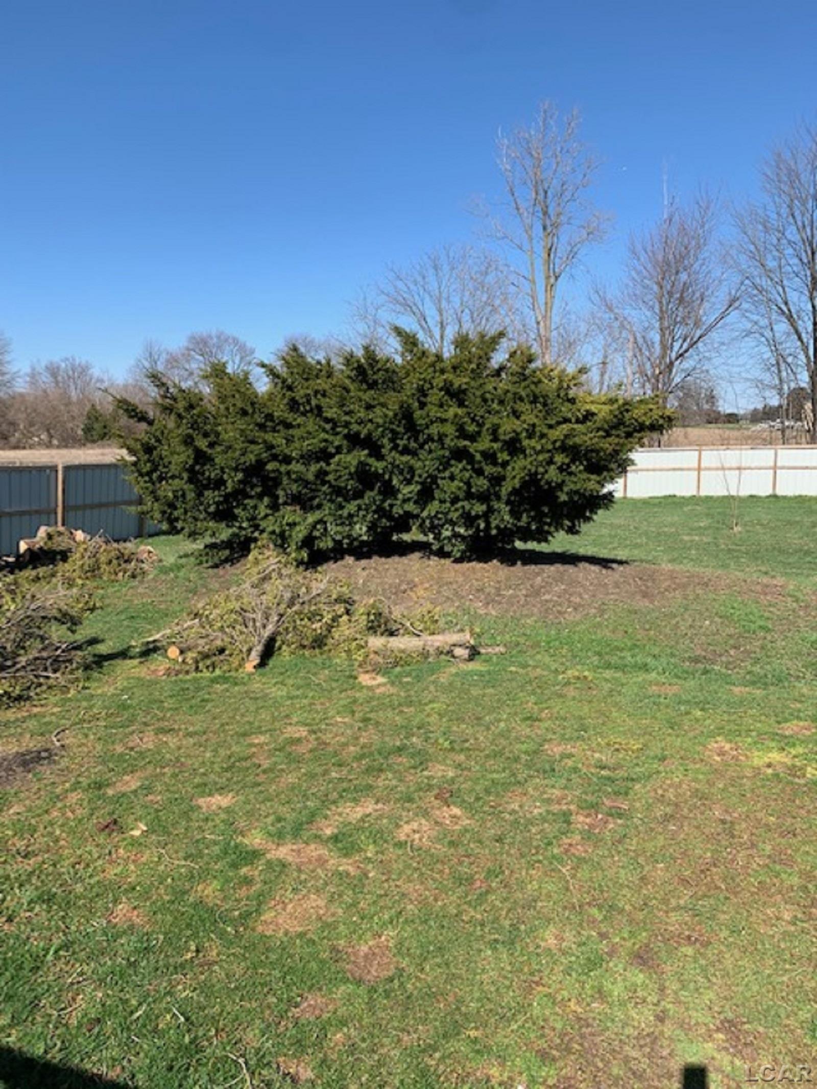 8256 East Monroe Road Britton, MI 49229 - Photo 6 of 25