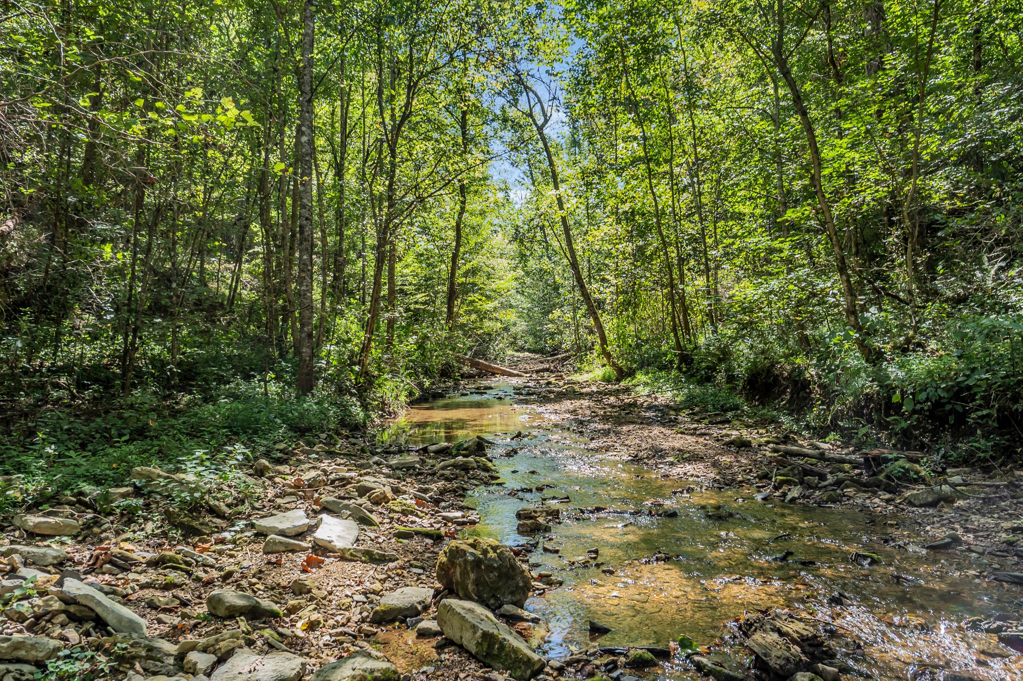 0 Lee Braswell Road Smithville, TN 37166 - Photo 13 of 13