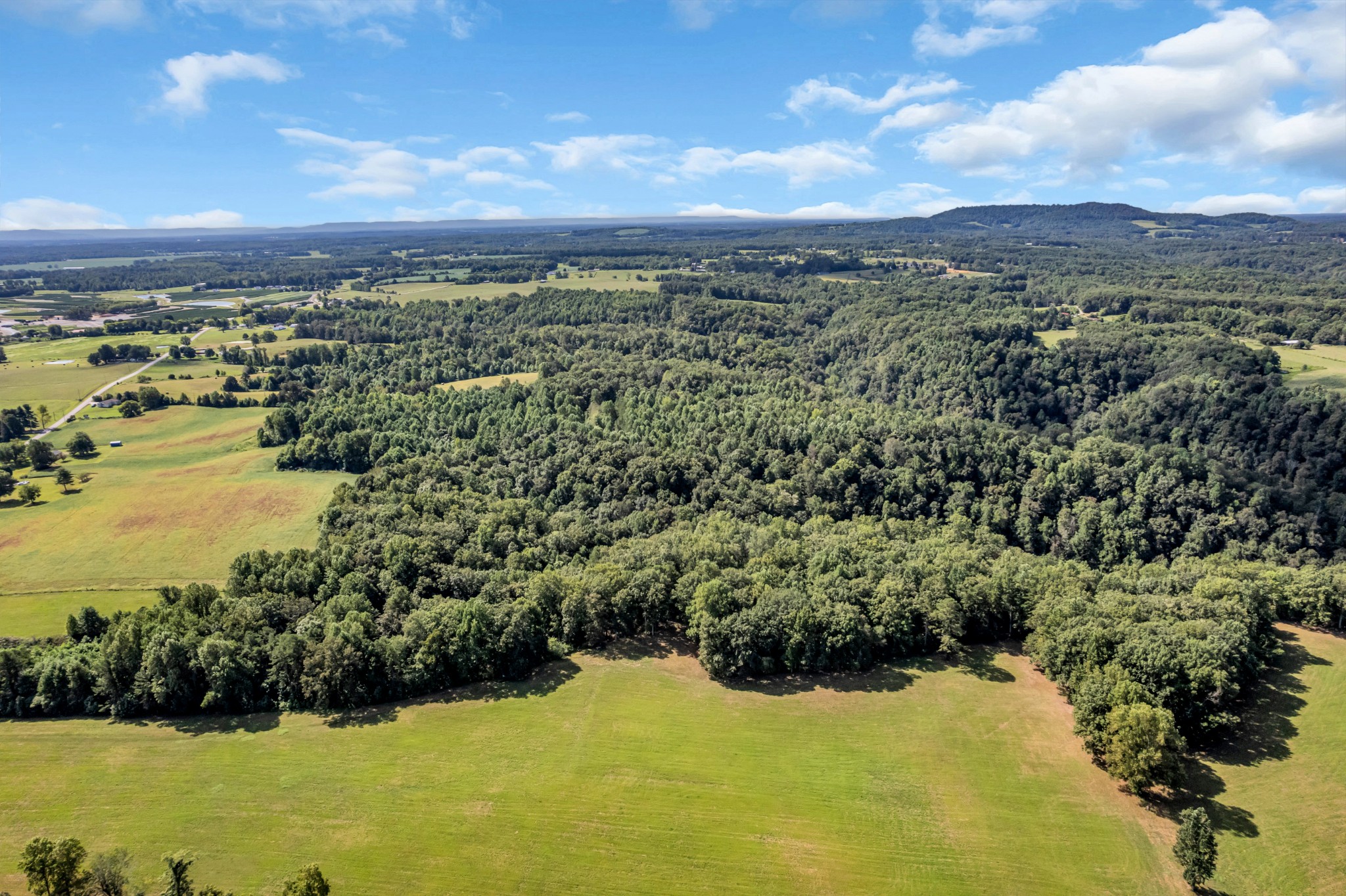 0 Lee Braswell Road Smithville, TN 37166 - Photo 2 of 13