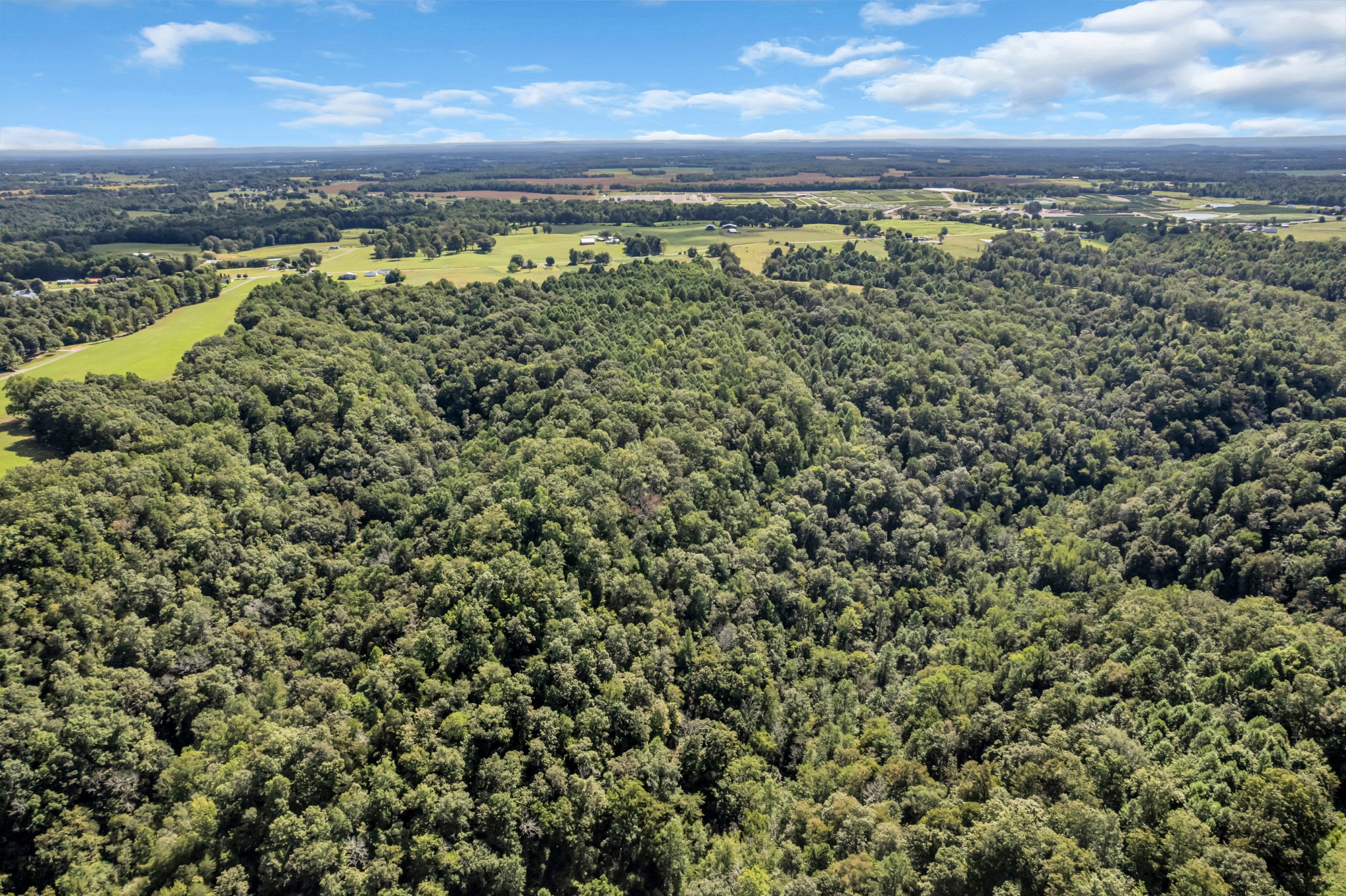 0 Lee Braswell Road Smithville, TN 37166 - Photo 5 of 13 a view of a city with an ocean