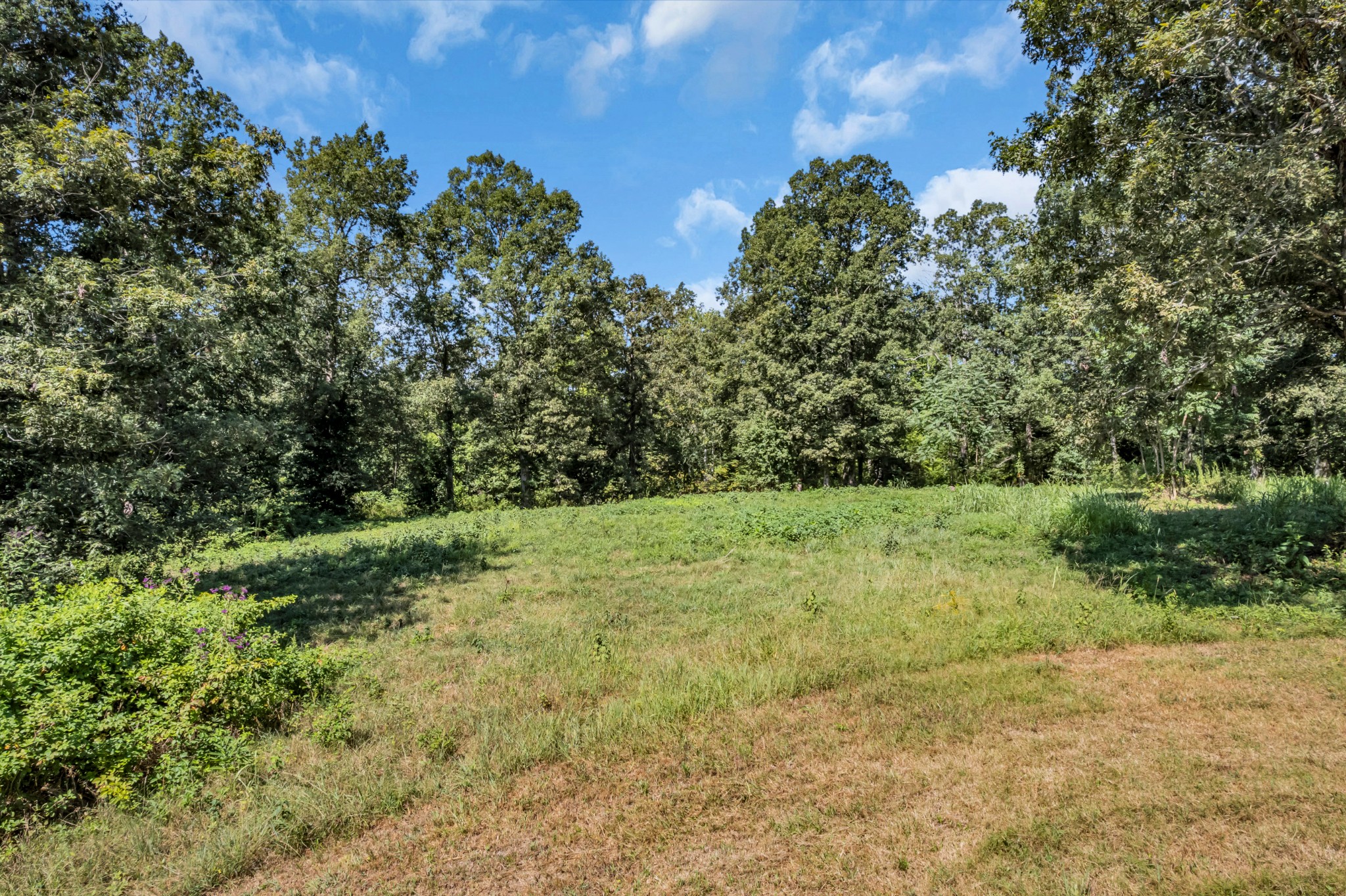 0 Lee Braswell Road Smithville, TN 37166 - Photo 7 of 13 a view of a yard with a tree