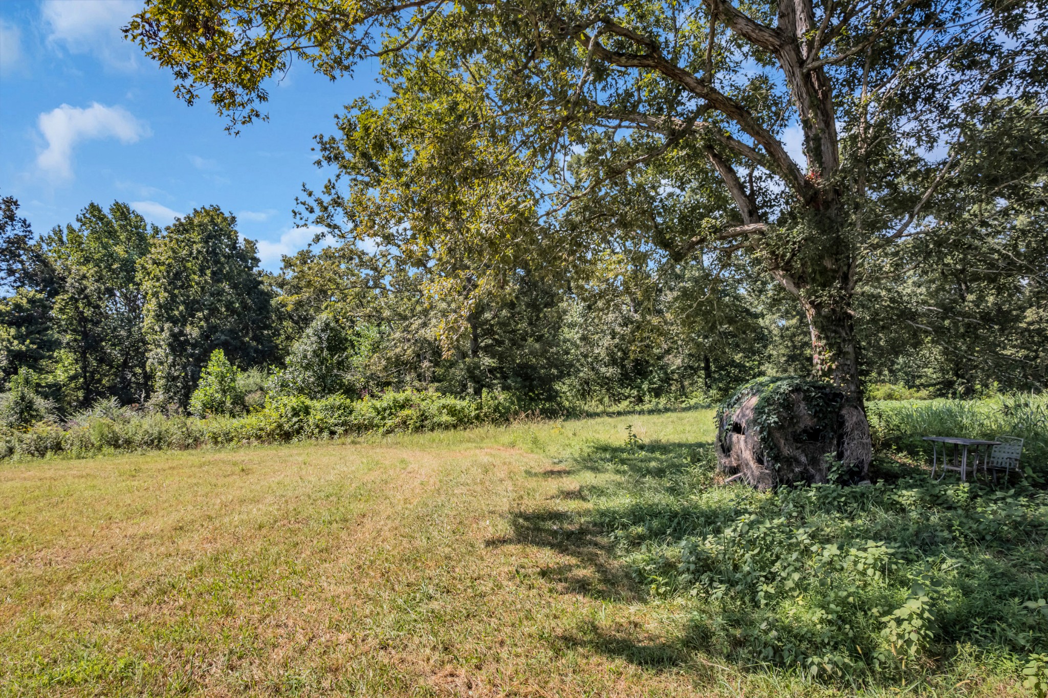 0 Lee Braswell Road Smithville, TN 37166 - Photo 8 of 13 a yard with a house in the background