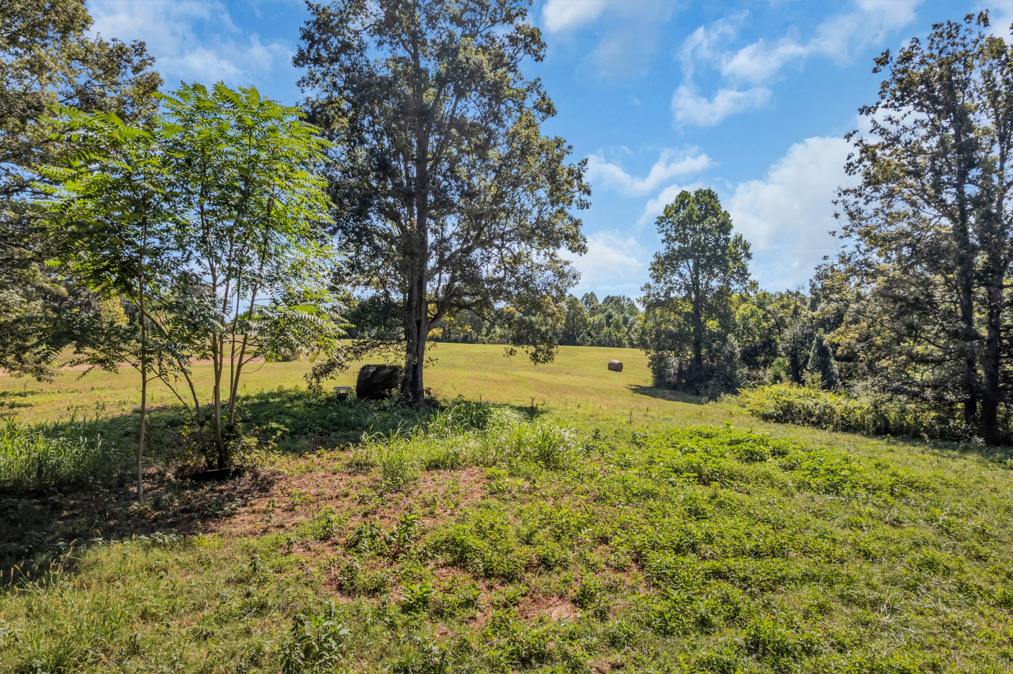 0 Lee Braswell Road Smithville, TN 37166 - Photo 10 of 13 a view of backyard with green space