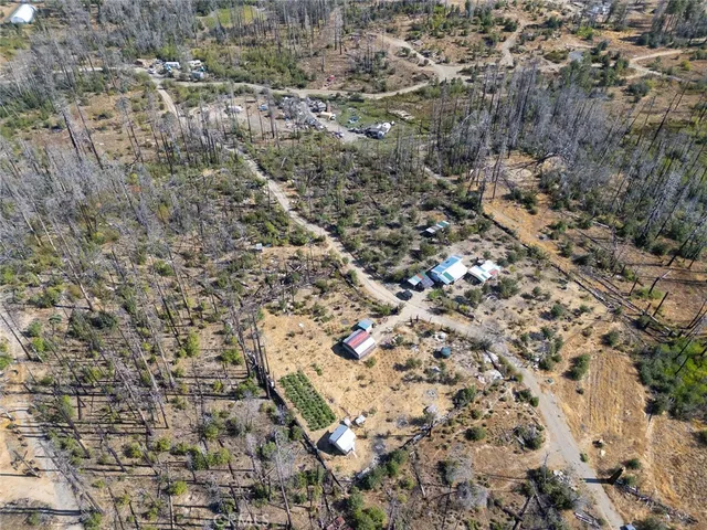 a view of a city with lush green forest
