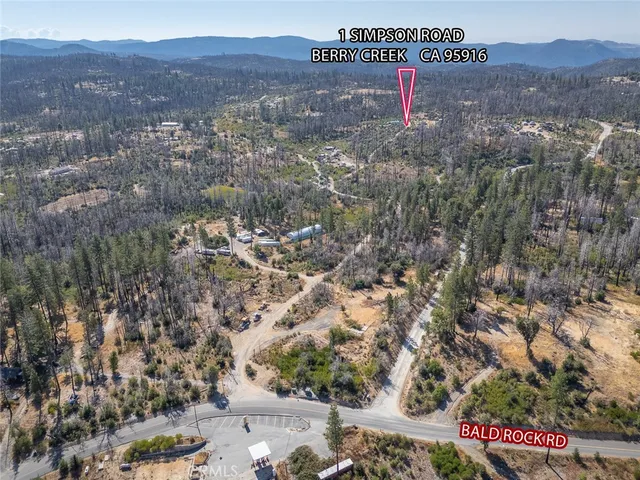 a view of a backyard with plants