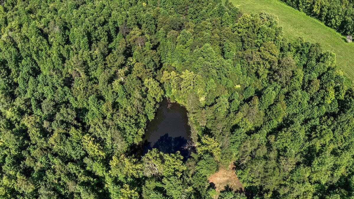 928 Indian Creek Road Corbin, KY 40701 - Photo 27 of 48 36-Aerial