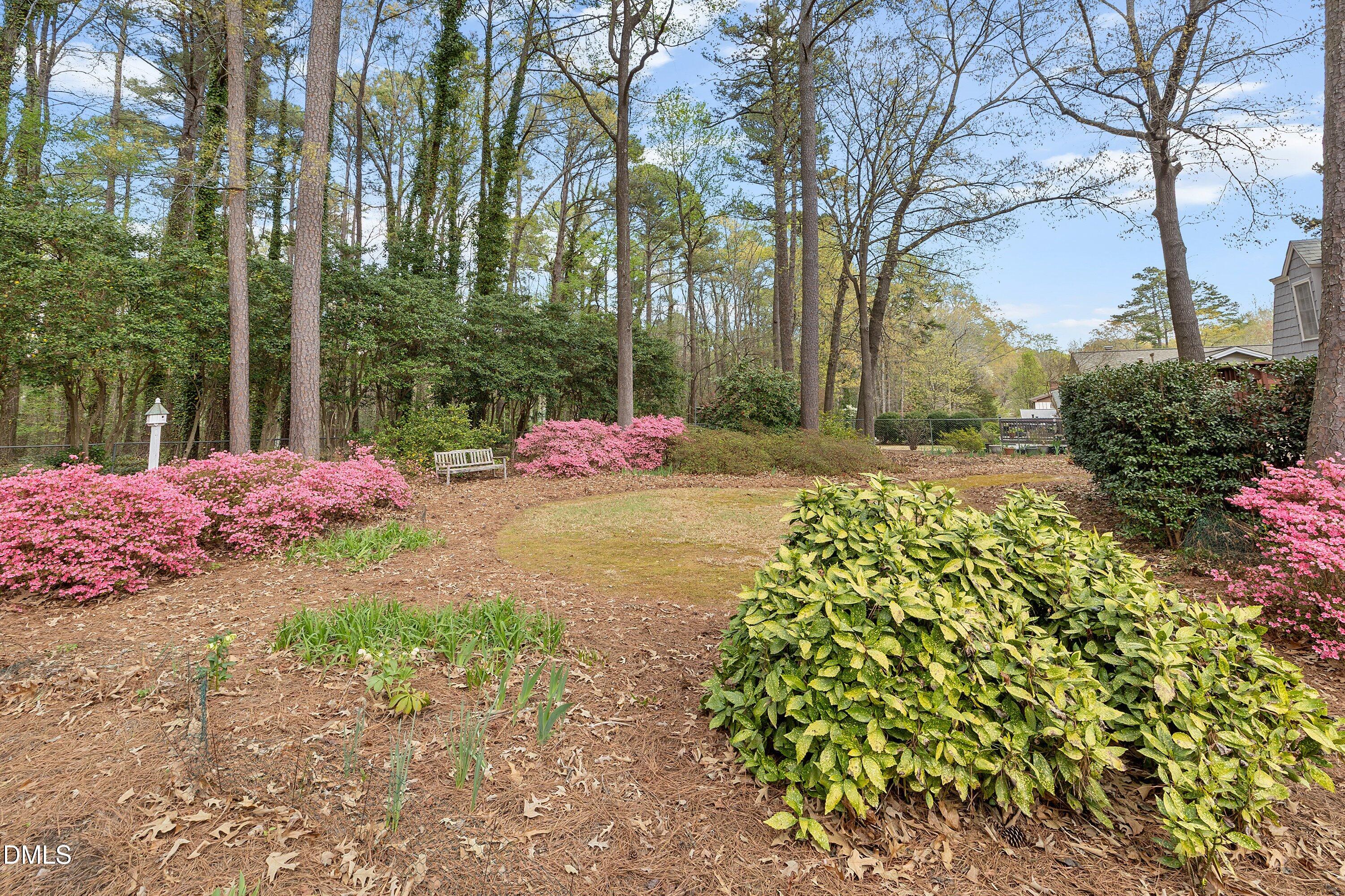 1429 Falls Church Road Raleigh, NC 27609 - Photo 53 of 60 a garden view with a seating space
