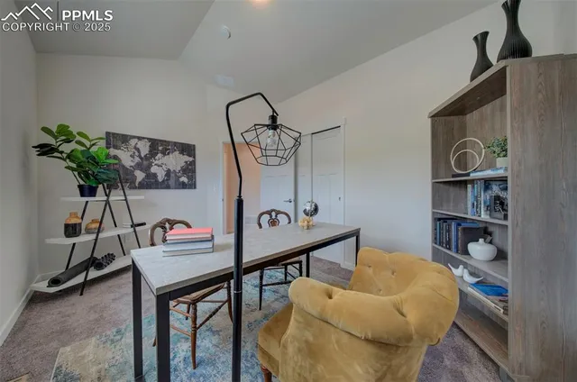 a living room with furniture a rug and a potted plant