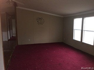 748 Johnnie Ingram Road Webb, AL 36376 - Photo 10 of 14 Gallery Image 10