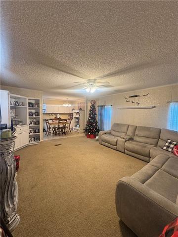 250 Havens Road Hineston, LA 71438 - Photo 3 of 14
