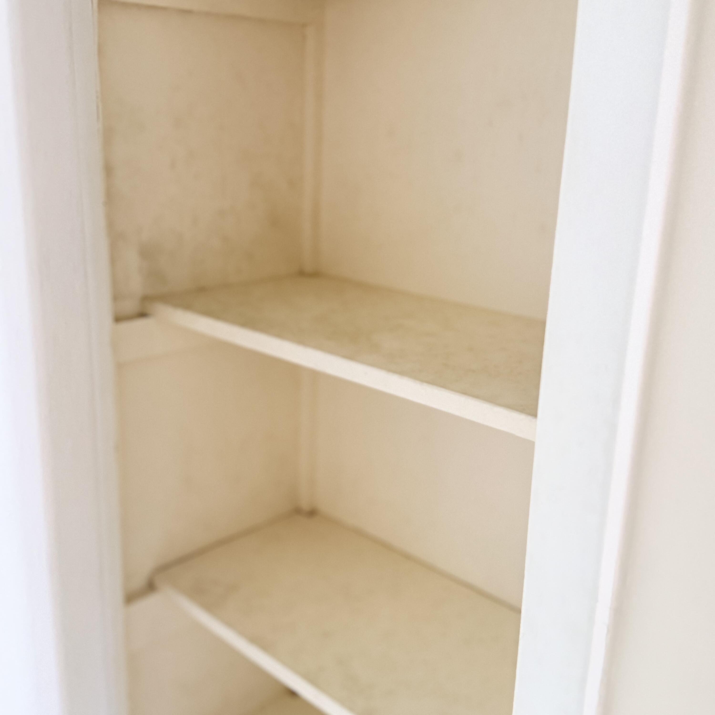 20 Southeast 13th Street, Unit A2 Boca Raton, FL 33432 - Photo 15 of 21 Bedroom Closet