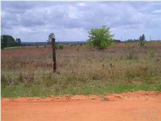 0 King Ranch Road Milton, FL 32583 - Photo 1 of 3