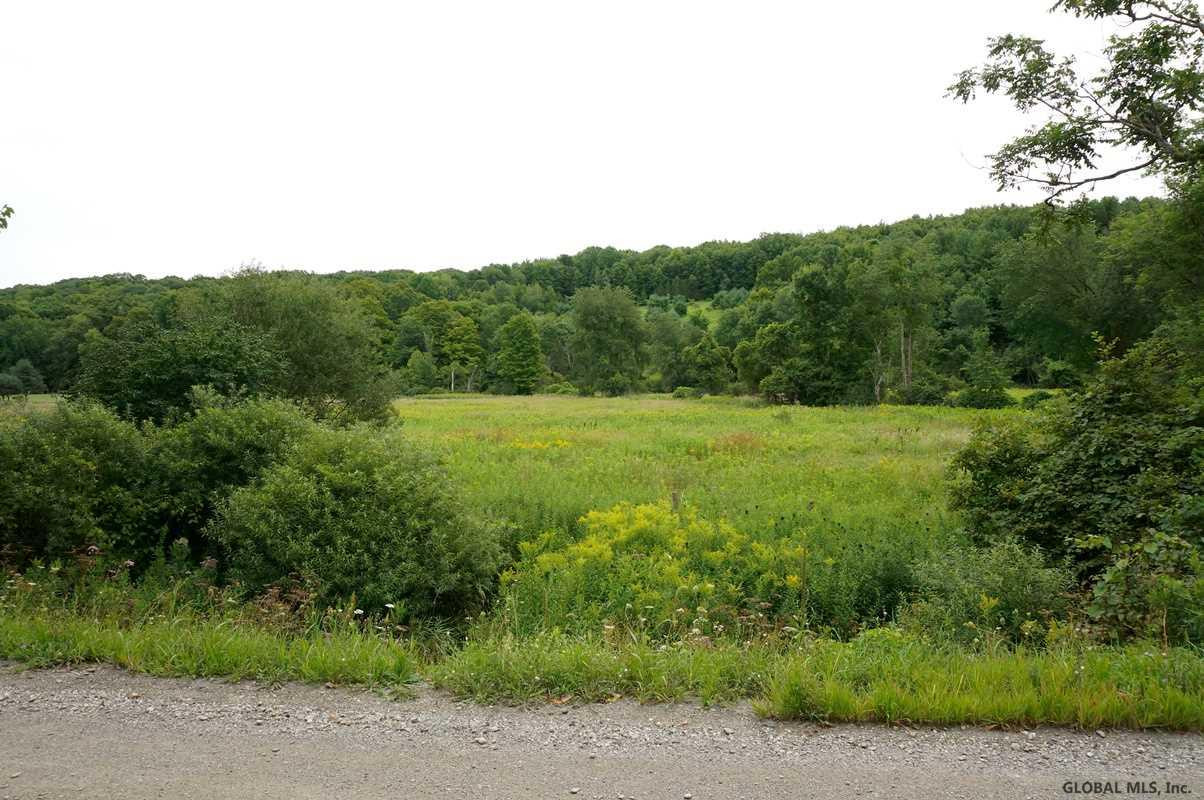4 Riley Hill Road Salem, NY 12865 - Photo 2 of 7 Photo 2