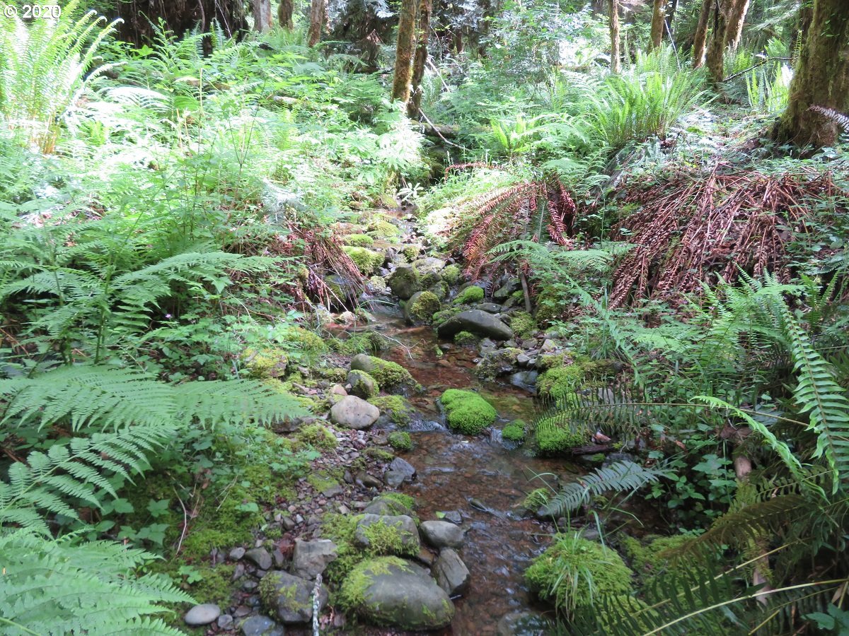 Duckabush Road Brinnon, WA 98320 - Photo 16 of 30 Gallery Image 16