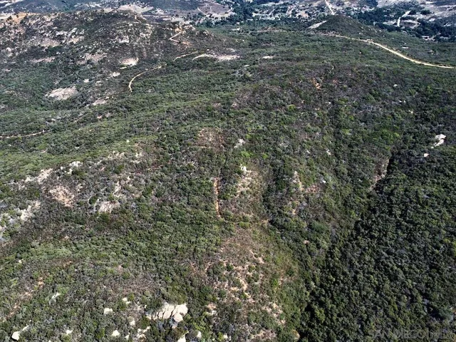 a view of a city with lush green forest