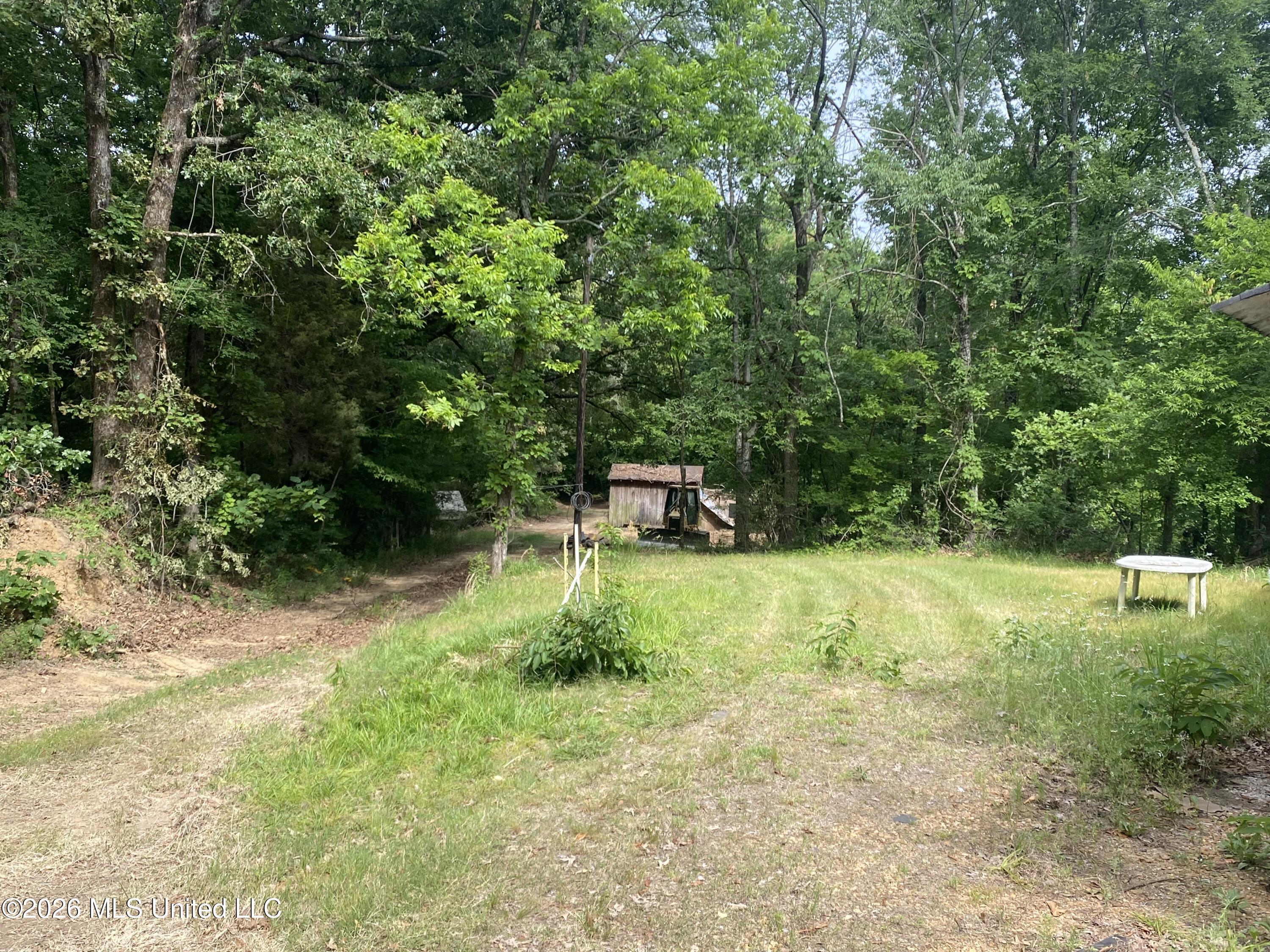 5317 Highway 3 Sarah, MS 38665 - Photo 10 of 28 IMG_7896