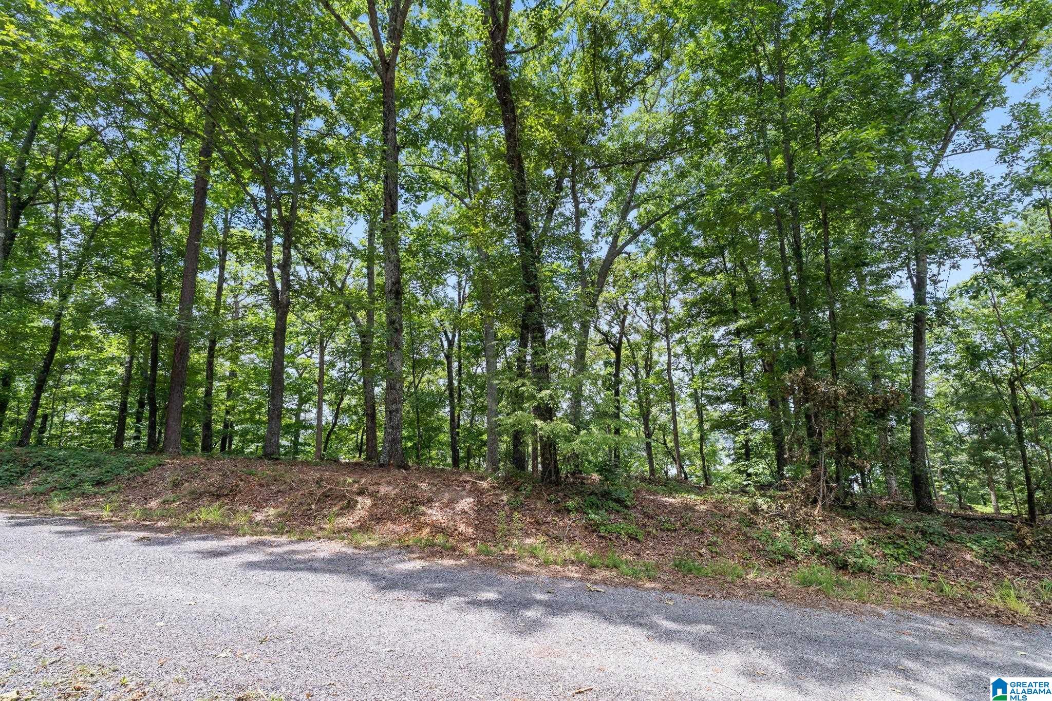 1205 Lk Rdg Lane, Unit 10 Talladega, AL 35160 - Photo 16 of 38