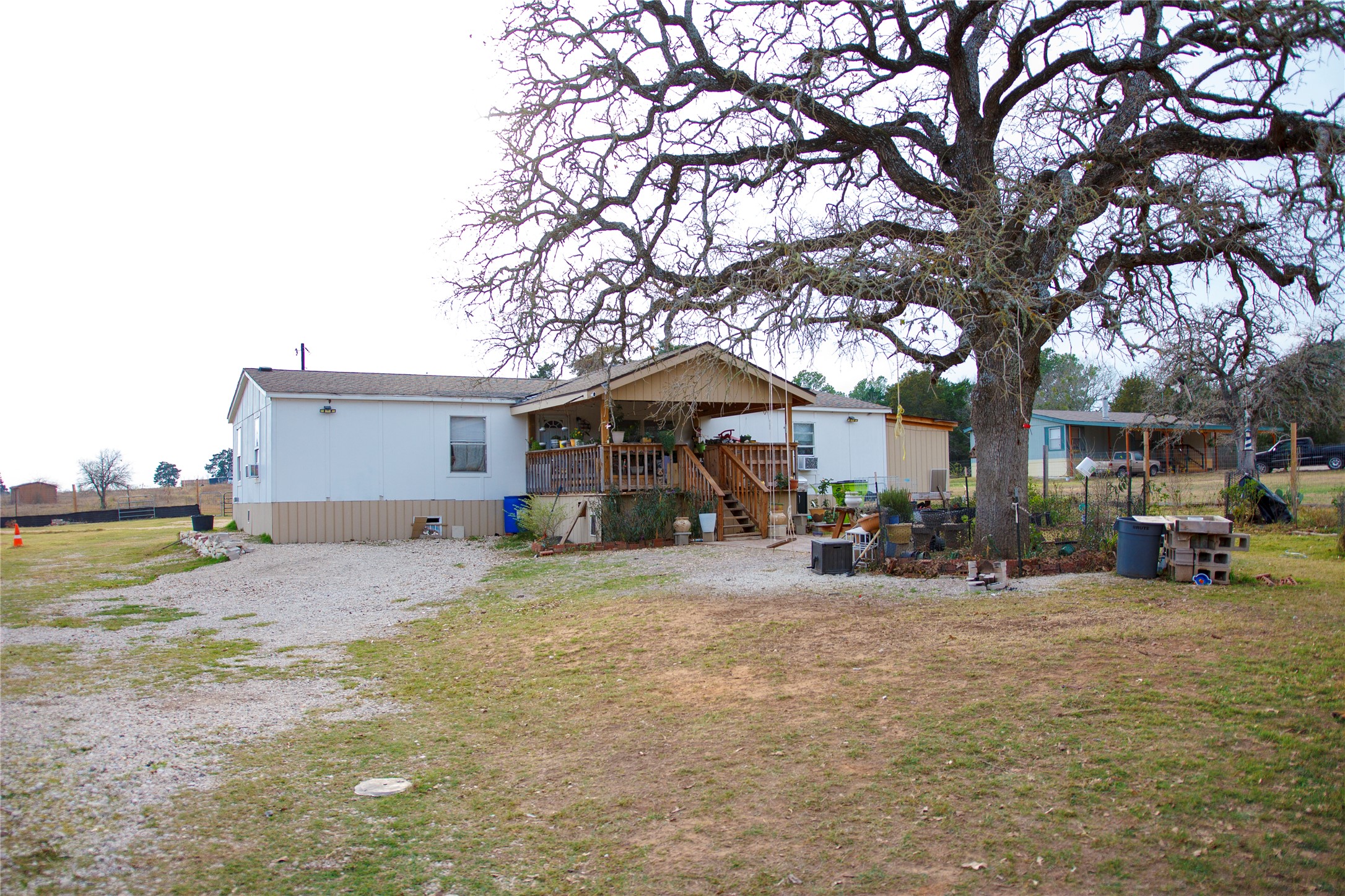 a view of a house with large tree in front of it