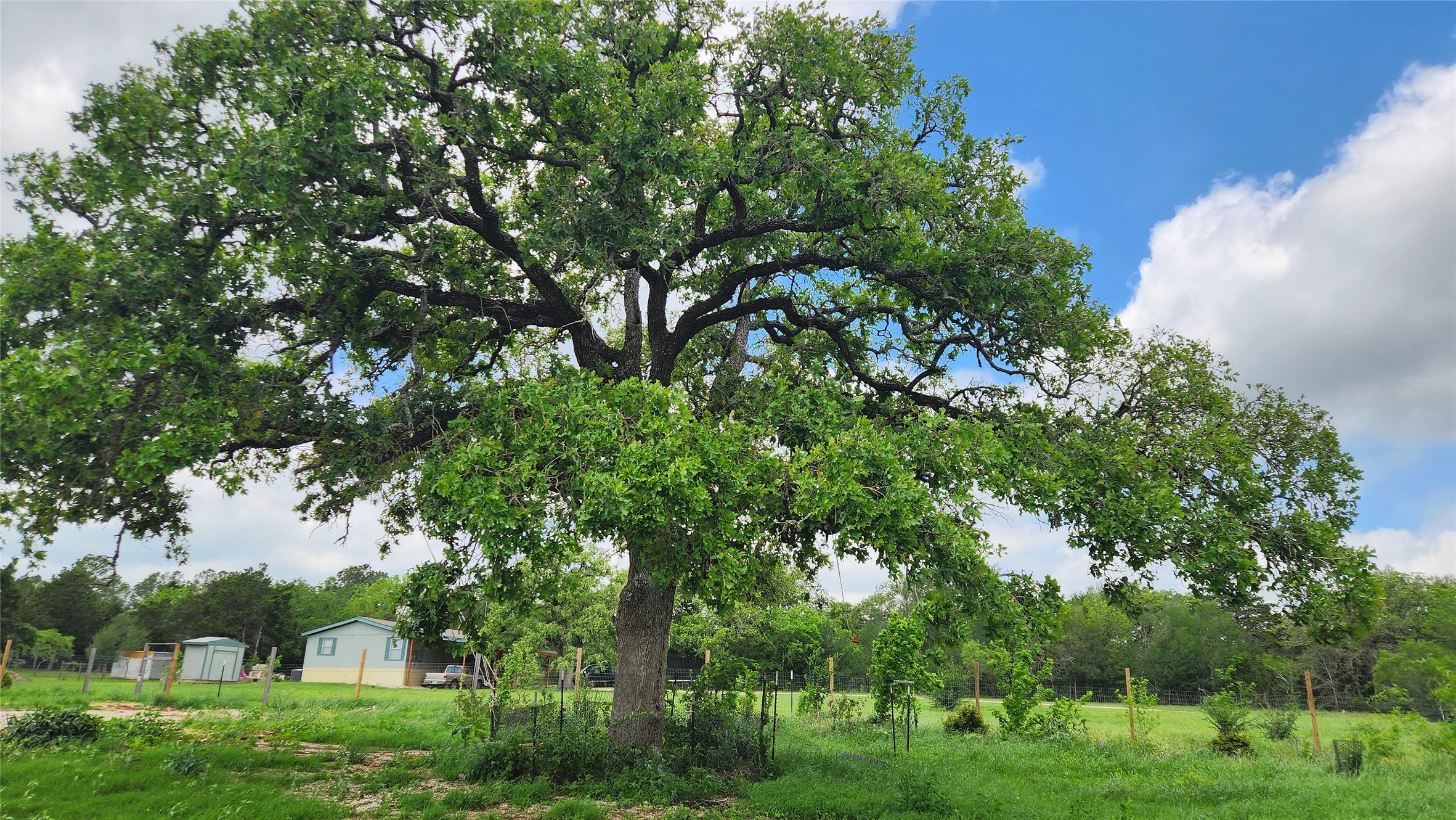 155 Arbuckle Road Elgin, TX 78621 - Photo 35 of 35 a view of a garden