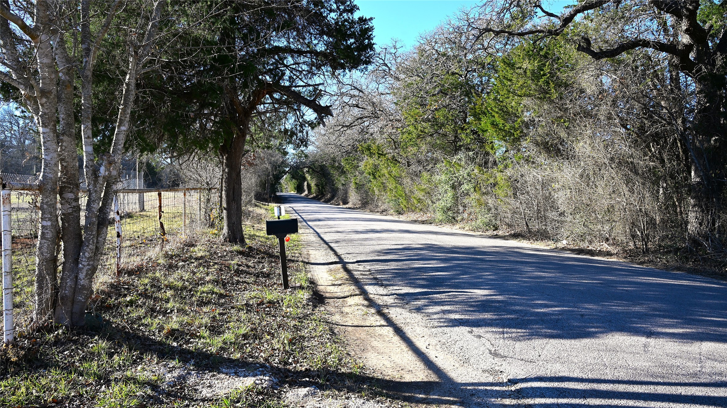 155 Arbuckle Road Elgin, TX 78621 - Photo 4 of 35 a view of a yard with plants and trees