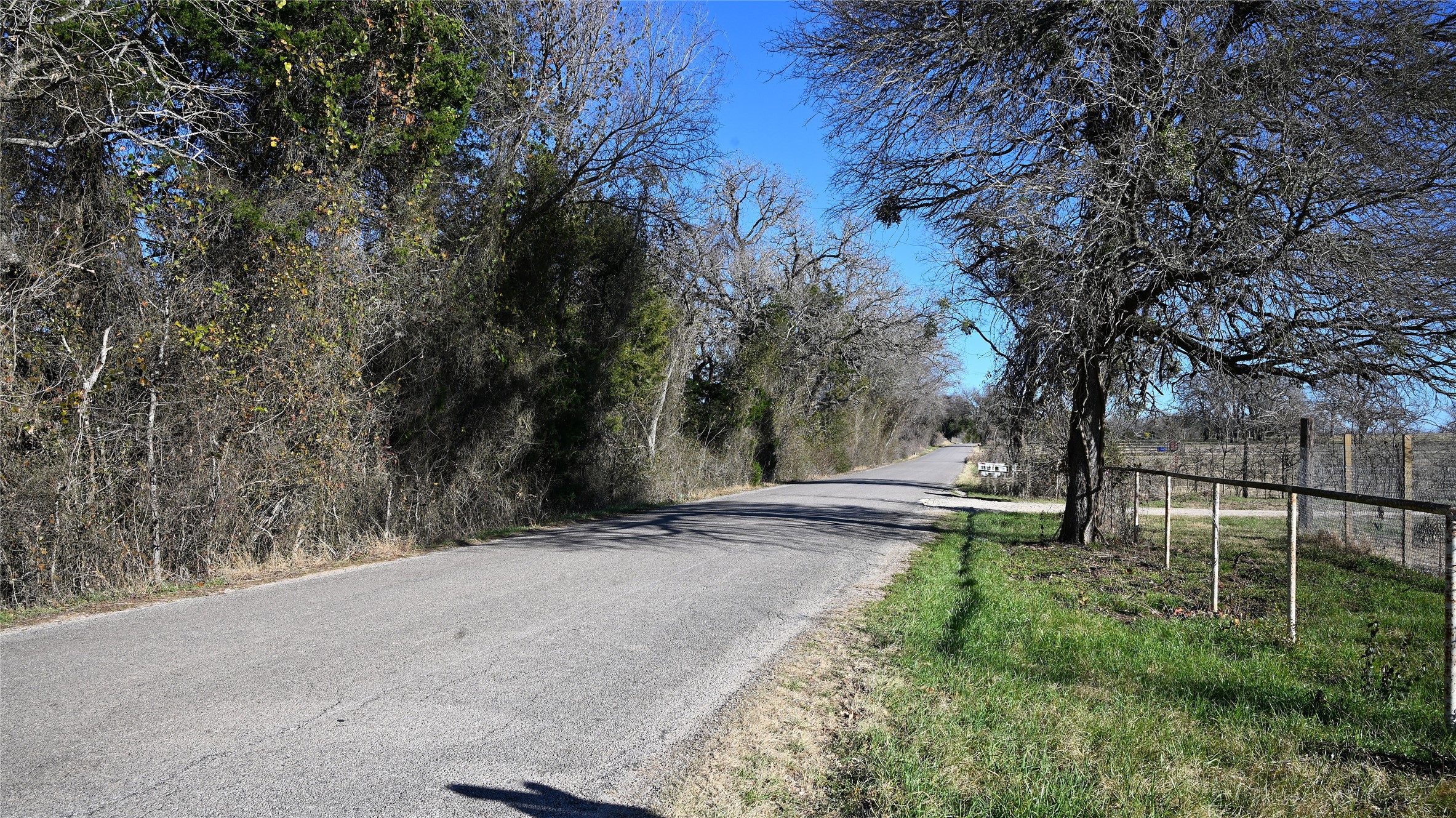 155 Arbuckle Road Elgin, TX 78621 - Photo 5 of 35 a view of a backyard with trees