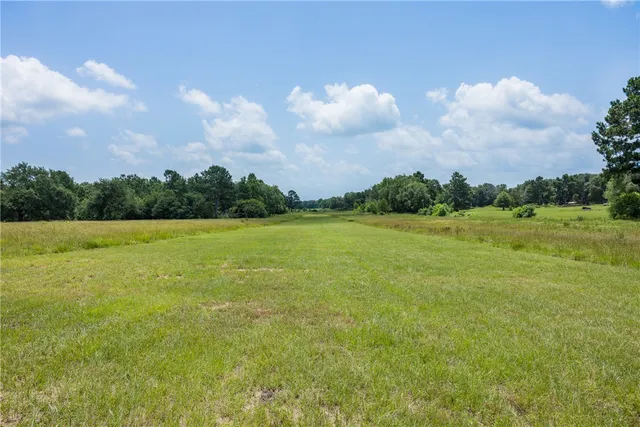 a view of a garden and basketball court