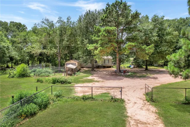a view of a park with large trees