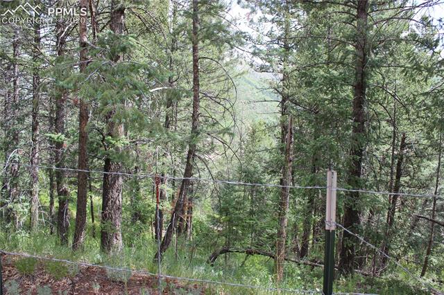 9320 Maveta Road Cascade, CO 80809 - Photo 7 of 8