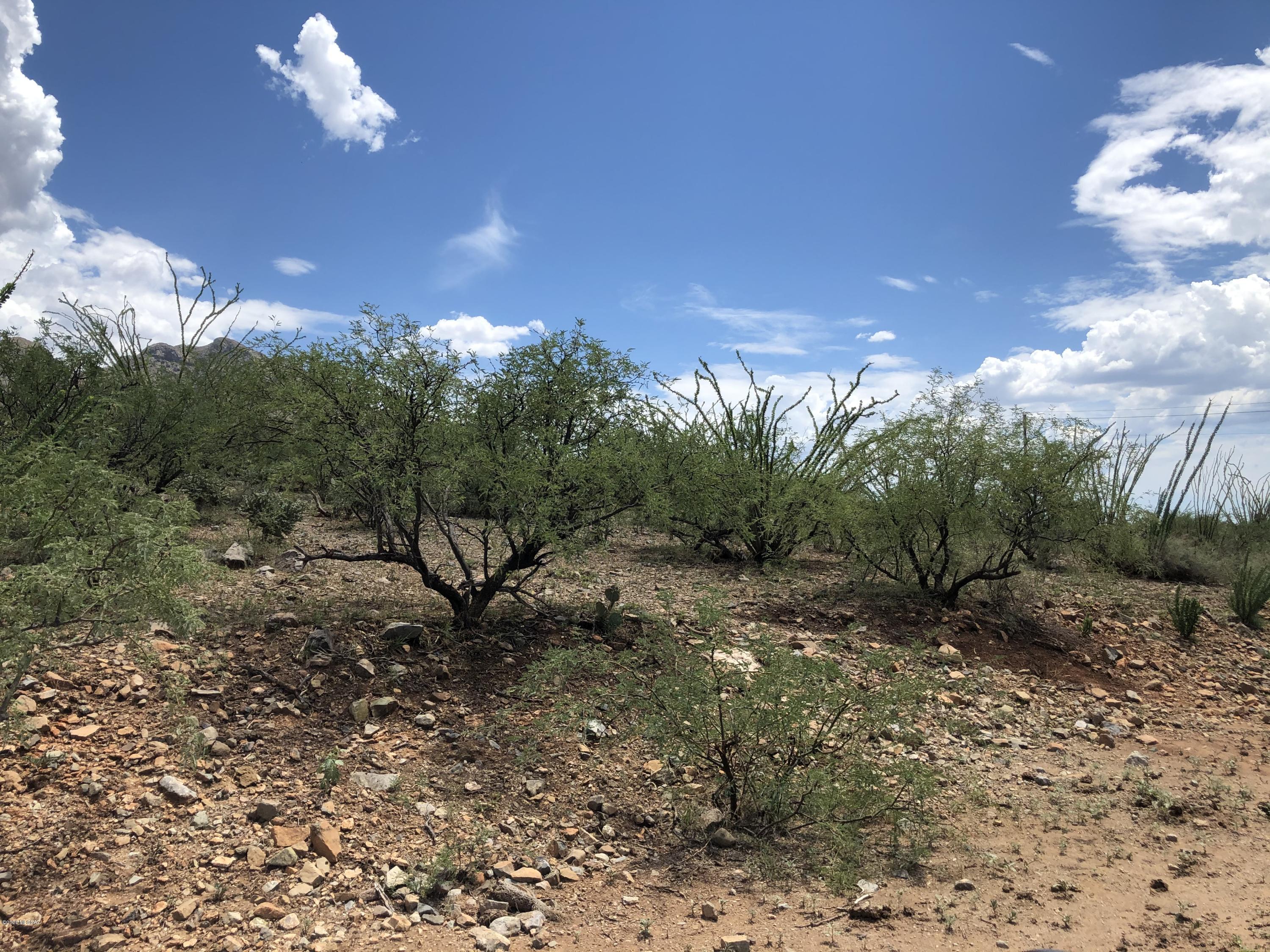 327 Cuna Court, Unit 13 Rio Rico, AZ 85648 - Photo 4 of 6