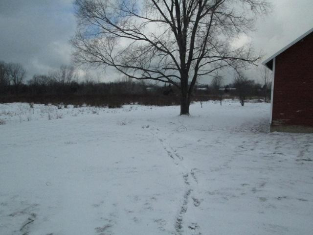 1835 Lynch Road Benton Harbor, MI 49022 - Photo 27 of 32 IMG_7545