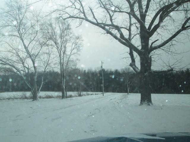 1835 Lynch Road Benton Harbor, MI 49022 - Photo 31 of 32 IMG_7547