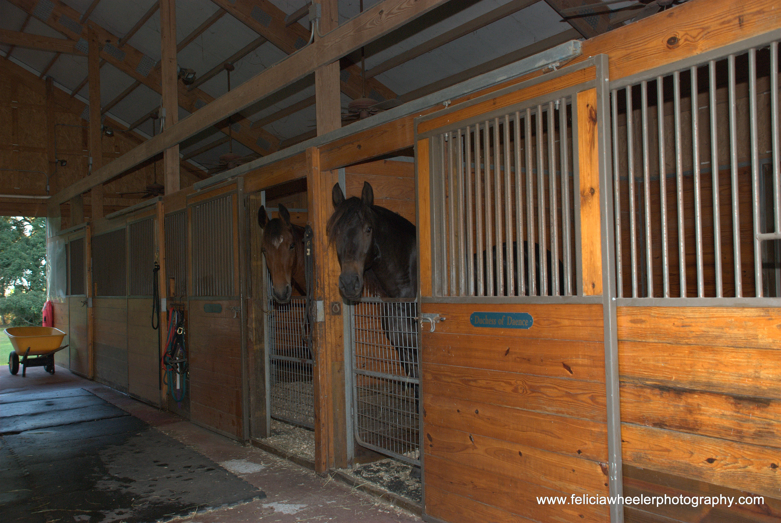 6090 Josie Ridge Road Wadmalaw Island, SC 29487 - Photo 14 of 45 4 stalls and can have 6
