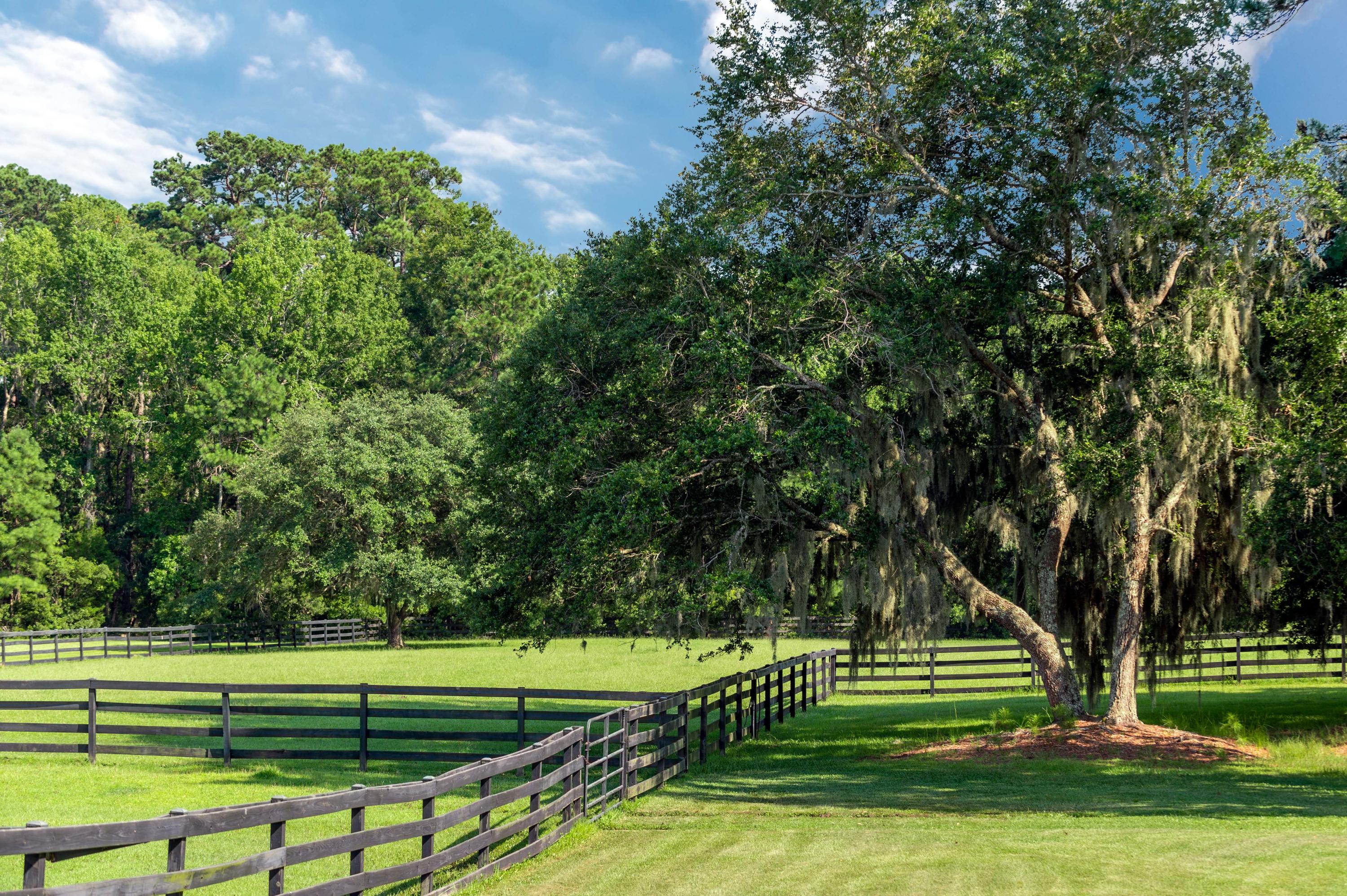 6090 Josie Ridge Road Wadmalaw Island, SC 29487 - Photo 19 of 45 Josie Ridge Shoot_Low Res-8