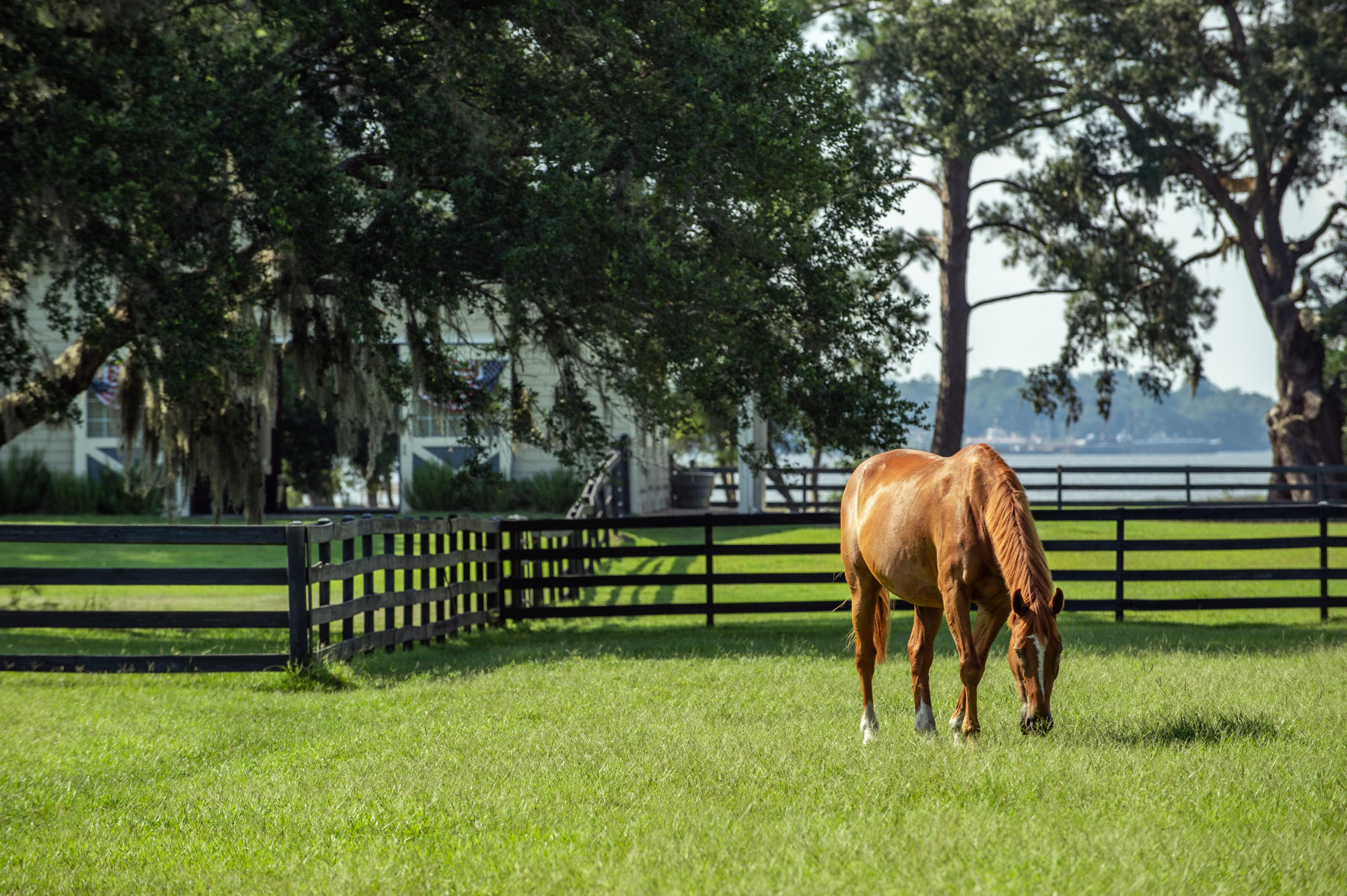 6090 Josie Ridge Road Wadmalaw Island, SC 29487 - Photo 23 of 45 Josie Ridge Shoot_Low Res-15