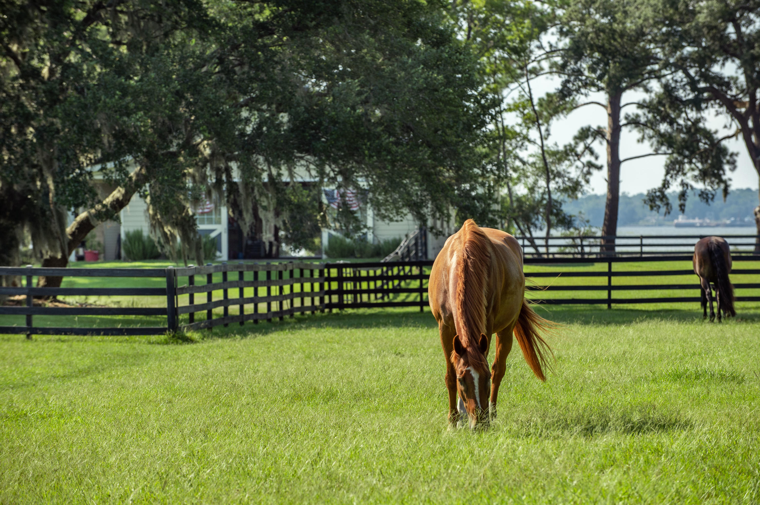 6090 Josie Ridge Road Wadmalaw Island, SC 29487 - Photo 24 of 45 Josie Ridge Shoot_Low Res-17